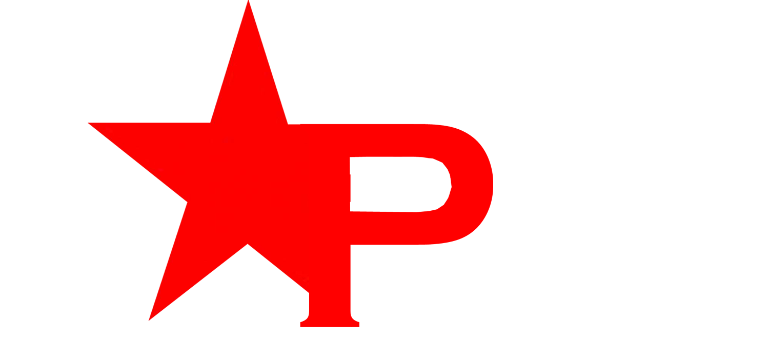 lOGO StarPunjabi